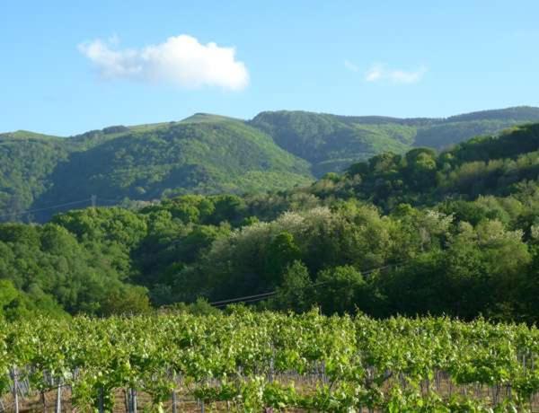 Agroturismo Landarbide Zahar Aia Buitenkant foto
